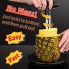 Pineapple Cutter and Corer Tool, Stainless Steel Pineapple Slicer Peeler,