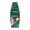 Palmolive Buy Palmolive Luminous Oils Moroccan Argan Oil and Camellia Shampoo 350ml Online