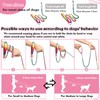Chain Dog Leash Chew Proof, Metal Chain and Nylon Rope