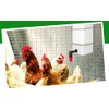 Automatic Drinker System Chick Water Cups 1L Hanging Automatic Fill