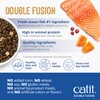 Catit Recipes Double Fusion Skin & Coat Cat Food –