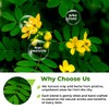 4 oz. Senna Leaf Senna Leaves Tea Bags Herbal Tea