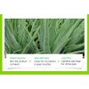BIOAQUA Aloe Vera hydrating Eye Gel Cream Reduces Dark Circles