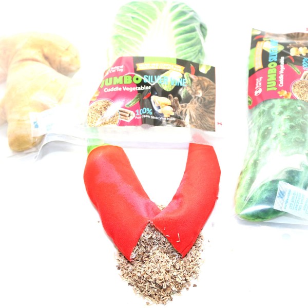 Silvervine Jumbo Cucumber Cuddle Toy