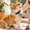 Peine para perros doble cara – Desenreda y elimina pelo