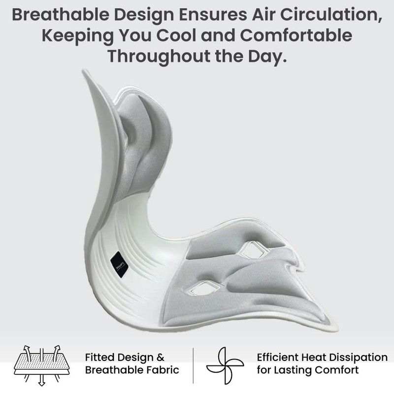 Ergonomic Lumbar Support Cushion, Silver,44.5mm x 410mm x 340mm, Standard