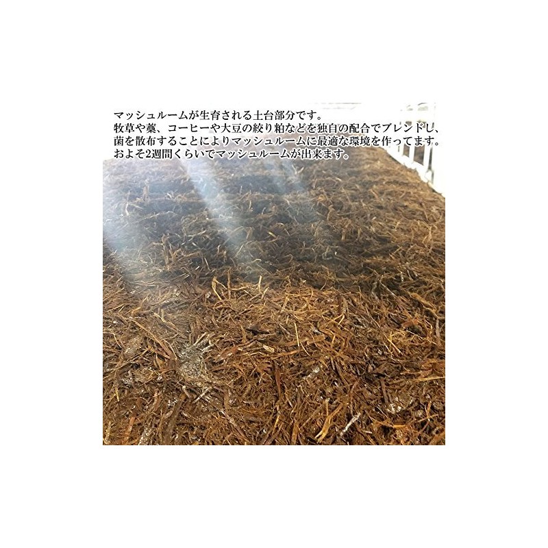 Mush-mizuni BS Boiled Mushrooms from Funagata-machi, Yamagata Prefecture, Nekoposu