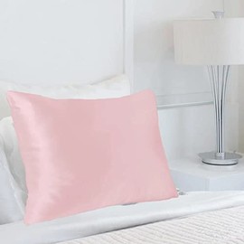 Super Soft Elegant Light Pink Pure Silk Pillowcase for Hair & Skin Queen Size | Reduce Facial Wrinkle & Creases Anti Acne, Prevent Hair Damage | All Season Comfortable Sleep Hidden Zipper Closure
