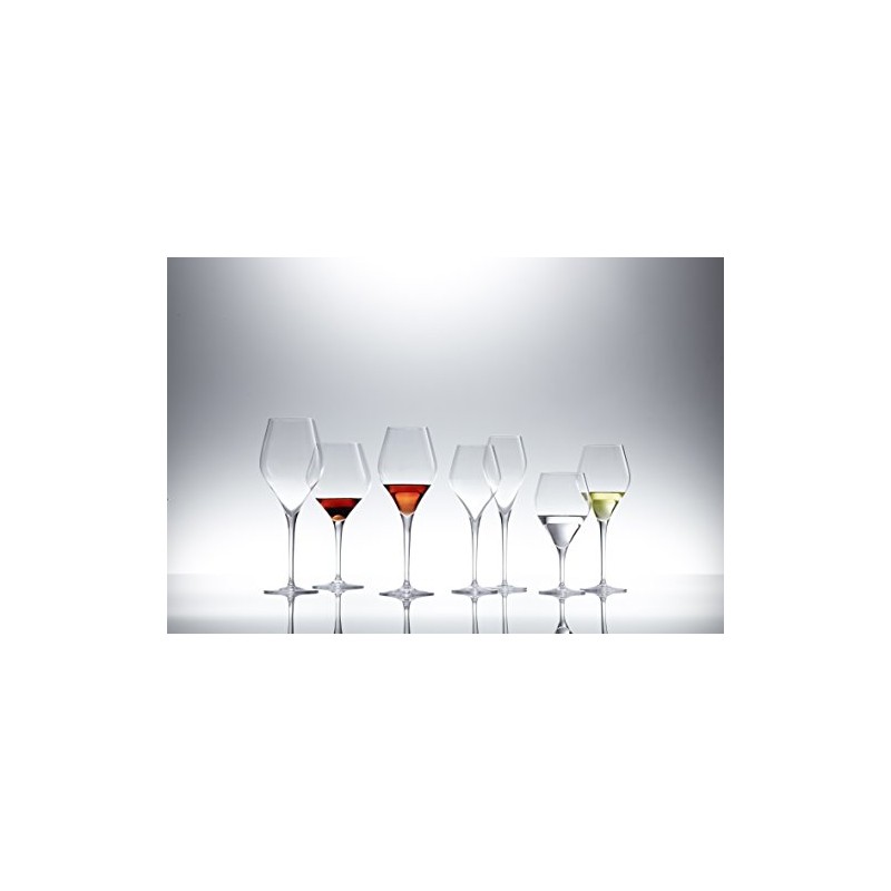 Schott Zwiesel Tritan Crystal Glass Finesse Stemware Collection Champagne Flute