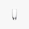 Luigi Bormioli Michelangelo Masterpiece 14.5 oz Beverage Glasses - Elegant,