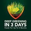 Scotts Green Max Lawn FoodFL, Lawn Fertilizer Plus Iron Supplement