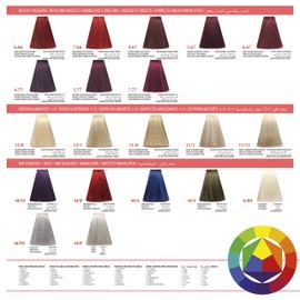 Arual - Professional Cosmetics Arual Dye # 6.81 Dark Blonde Ash Brown 08 kg 60 ml