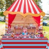 4 Pcs Red and Blue Striped Tablecloths, Carnival Circus Party