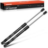 A-Premium Front Hood Lift Supports Shock Struts Compatible with Ford