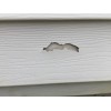 SmartPatch Vinyl Siding Repair Kit: 10 Large Durable Self-Adhesive Patches