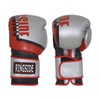 Ringside Bullet Sparring Gloves, Silver/Red, 16 oz