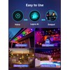 Lepro ZB1 AI Smart Outdoor String Lights APP Control, 54(42+12)