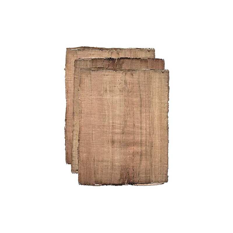 Forum Traiani Papyrus Antique Papyrus 3 Sheets from Egypt, Ancient