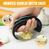 AGIgear Heavy Duty Stainless Steel Garlic Mincer and Garlic Crusher,Manual