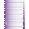 Brunnen 106659560 Ringbuchregister Colour Code (für Ordner und Ringbücher, aus