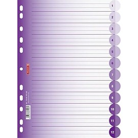 Brunnen 106659560 Ringbuchregister Colour Code (für Ordner und Ringbücher, aus PP, für A4, 12 Tabs) violett / purple