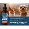 ZuvaPet Probiotics for Dogs - Dog Probiotics for Diarrhea -