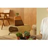 AspenStudio Plant Urn for Adult Human Ashes Cremation Wooden Urn