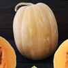 Dickinson Pumpkin Seeds - 4 g ~20 Seeds - Heirloom,
