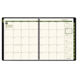 At-A-Glance Recycled Monthly Professional Planner, 2010-2011 Edition, 13 Months (January--January), Green (70-260G-60) by At-A-Glance