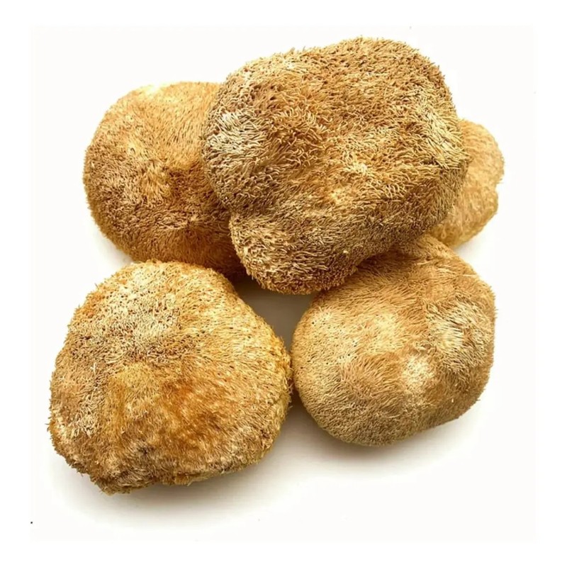 Hongo Melena De Leon 1 Kg.