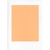 9x12" Peach Steak/BBQ Paper 1,000 Sheets per case McN # 002187