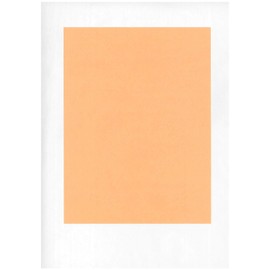 9x12" Peach Steak/BBQ Paper 1,000 Sheets per case McN # 002187