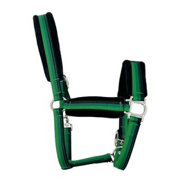 BIGANTTOW Adjustable Horse Halter Rope Halters, Equestrian Horse Riding Headcollar with Satin Hardware, Prevents Rubs, Adjustable Fit Green M