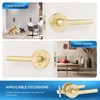 Leydebong 2 Pack Gold Interior Door Handle Passage Door Handle