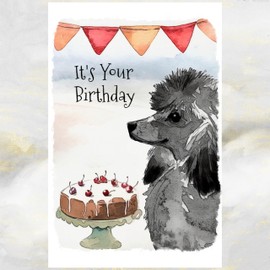 Black Poodle Dog Birthday Card