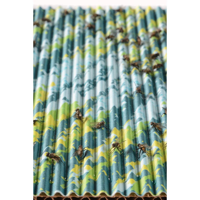 RESCUE! FlyPad – Sticky Fly Traps for Indoor & Outdoor