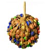 Gourmet Jumbo Caramel Apple (Chocolate Candy Buttons & Milk Chocolate)
