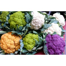 Colorful Cauliflower Mix of 5 Varieties Seeds for Planting Around 150 Seeds