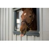 Intrepid International Magic Horse Brush, for Horse Grooming Kit w/Durable
