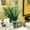 20 Pcs Preserved Dried Eucalyptus Stems, 17" Natural Fresh Eucalyptus