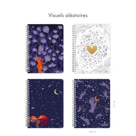 Clairefontaine Adolie 116293C Notebook / Notebook Hardcover, DIN A5 14.8 x 21 cm, 74 Sheets, 90 g, Lined, Assorted, Pack of 1