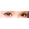 Dolly Wink Eyelash No.14 Natural Cute