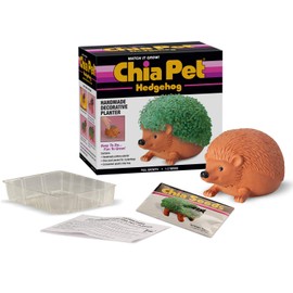 Chia Pet Hedgehog with Seed Pack, Decorative Pottery Planter, Easy to Do and Fun to Grow, Novelty Gift, Perfect for Any Occasion, Terra Cotta
