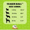 Jolly Pets Jolly Pets Teaser Ball Dog Toy, Large/8 Inches,