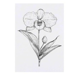 'Blooming Orchid' Temporary Tattoo - Water Resistant, Skin-Safe, Non-Toxic Transfer (TO00086167)