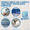 OUT! Advanced Stain and Odor Remover - Pet Stain and