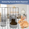 Fhiny Rabbit Food & Water Dispenser, Large Capacity Gravity Guinea