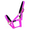 Hy Fieldsafe Headcollar - Green - Pony - Horse Equestrian