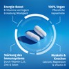 ALL STARS Athlete Formula – 210 Capsules with Vitamin and