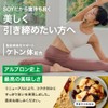アルプロン (ALPRON SLIM) ソイ プロテイン SOY 黒蜜きな粉風味 750g ケトン 食物繊維